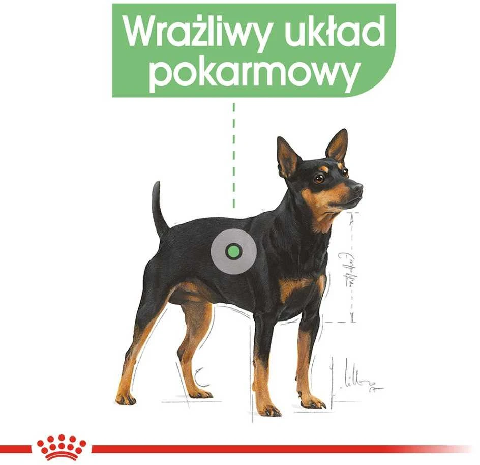 Royal Canin Mini Digestive Care 3kg