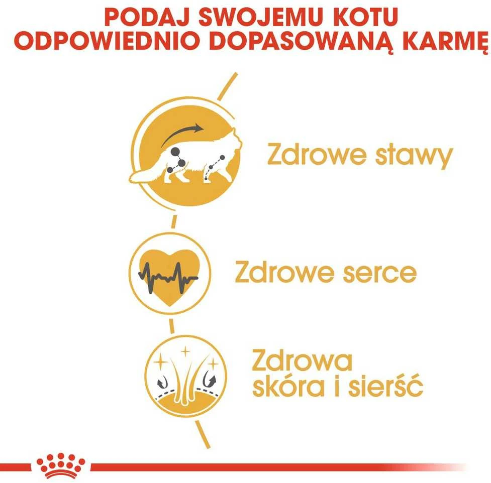 Royal Canin Maine Coon Adult 10kg