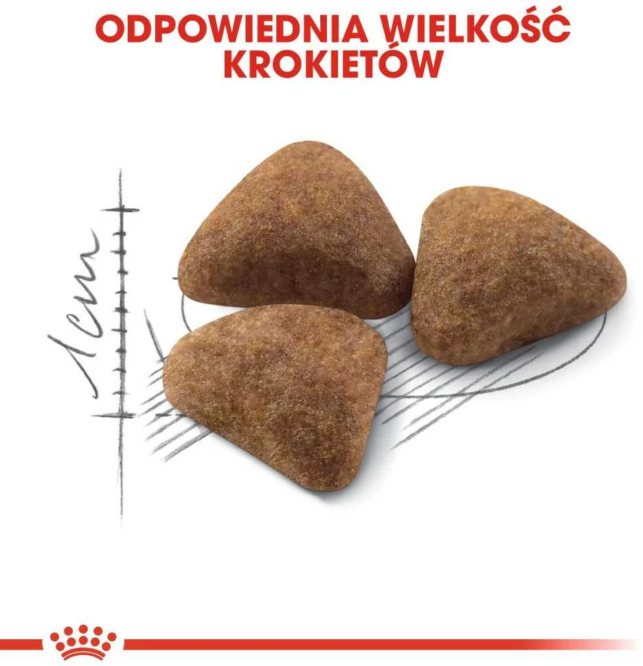 Royal Canin Indoor 4kg