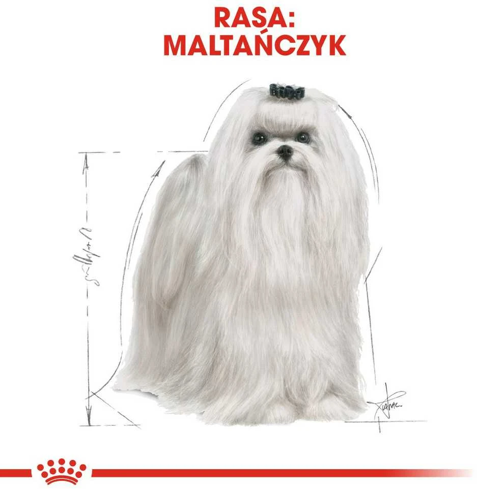 Royal Canin Maltese Adult 1,5kg