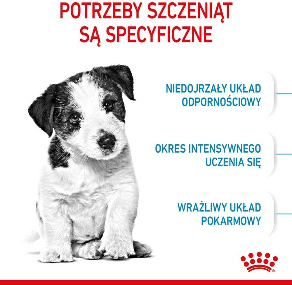Royal Canin Mini Junior 8kg