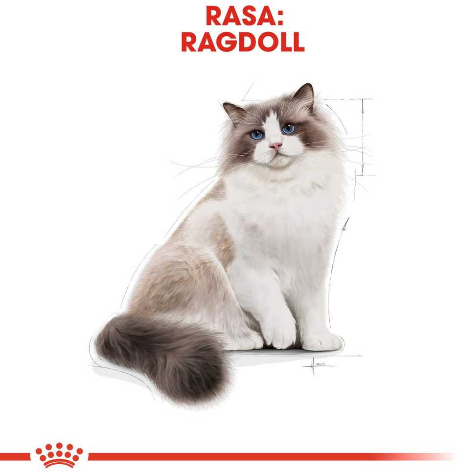 Royal Canin Ragdoll 400g