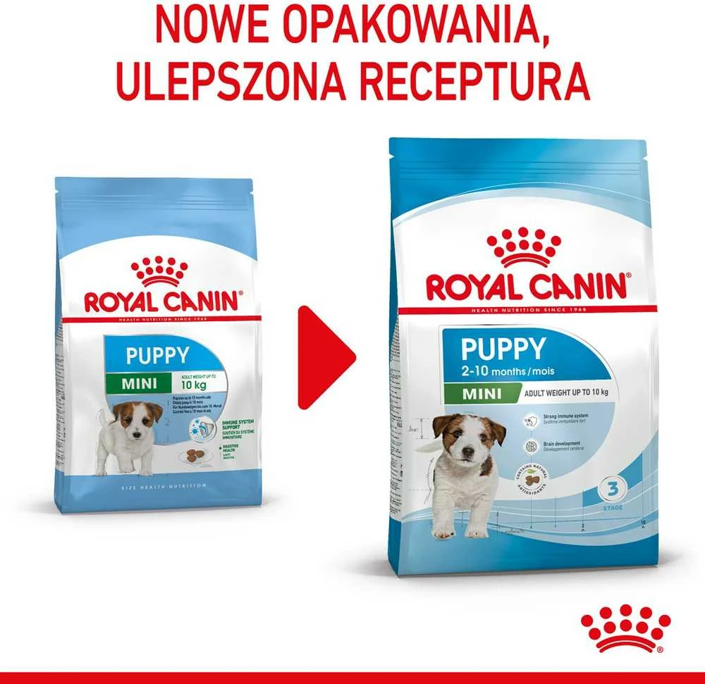Royal Canin Mini Junior 4kg