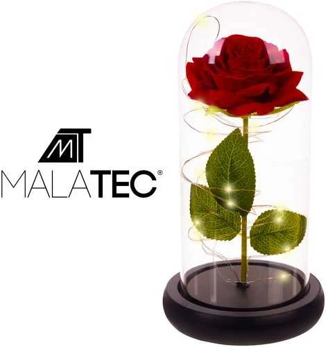 Rožė stikle – švytintis malatec 21619