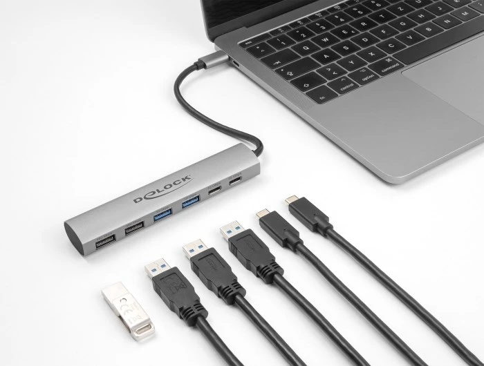 DLC DeLOCK 64232 knyginių kompiuterių dokas / jungčių replikatorius Vielinis USB 3.2 Gen 1 (3.1 Gen 1) Type-A + Type-C Pilka