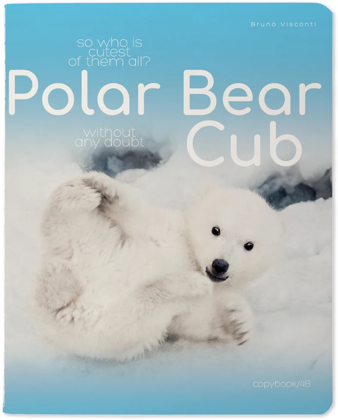 Sąsiuvinis Bruno Visconti A5, Polar Bear Cub, 5×5 langeliais, 48 lapų
