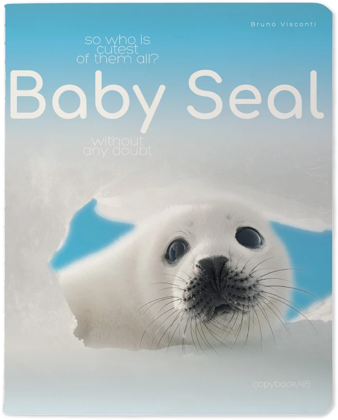 Sąsiuvinis Bruno Visconti A5,Baby Seal, 5x5 langeliais, 48 lapų