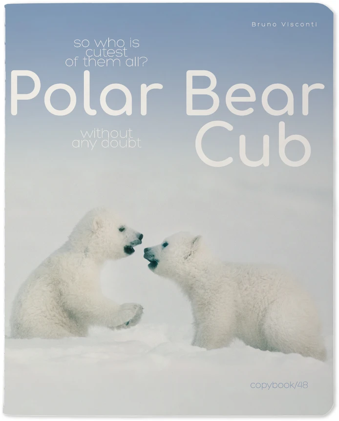 Sąsiuvinis Bruno Visconti Polar Bear Cub 2, A5, langeliais, 48 lapų