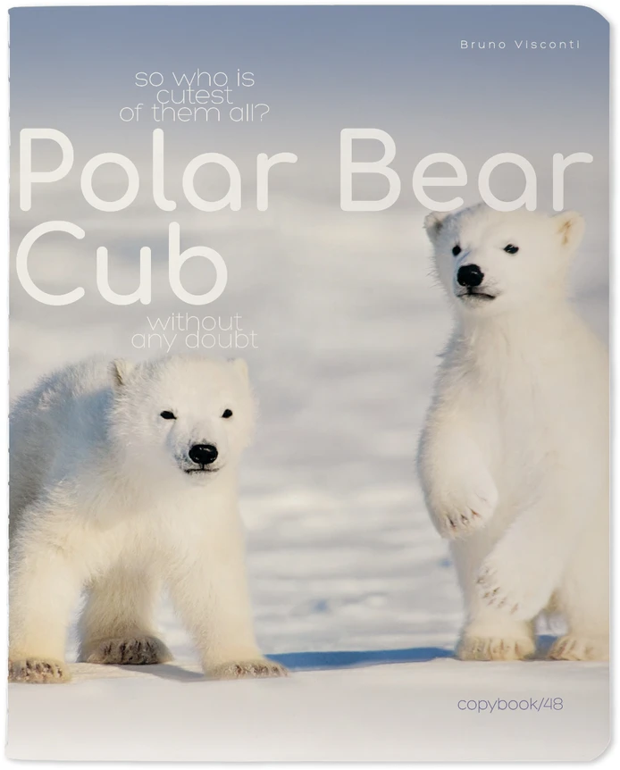 Sąsiuvinis Bruno Visconti Polar Bear Cub 3, A5, langeliais, 48 lapų