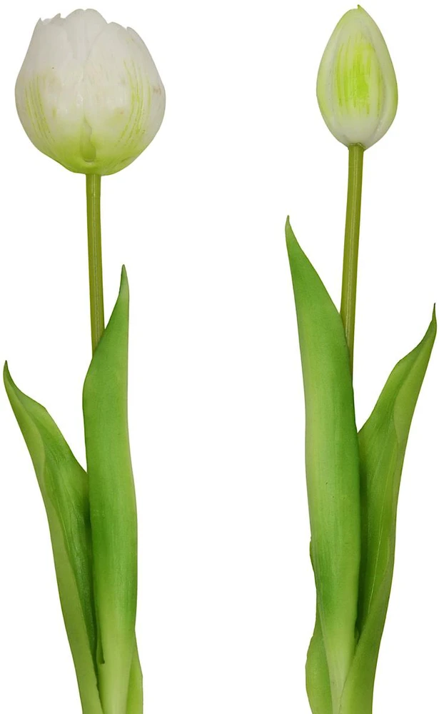 Saska Garden balta tulpinė bijūnė puokštė 39 cm