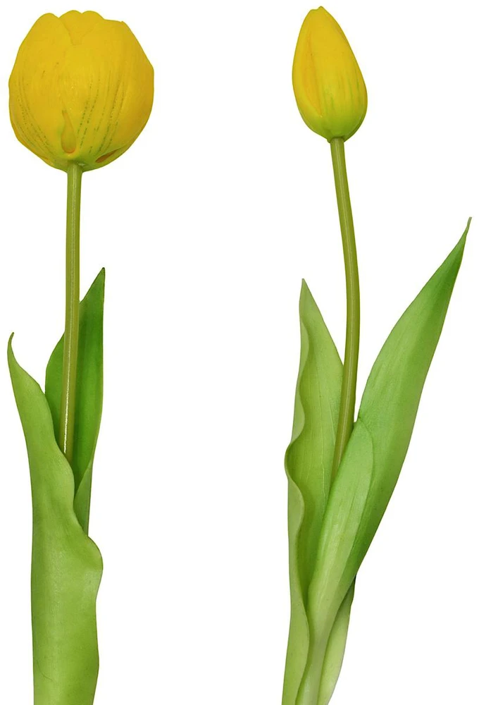Saska Garden Geltonų tulpių puokštė 39 cm