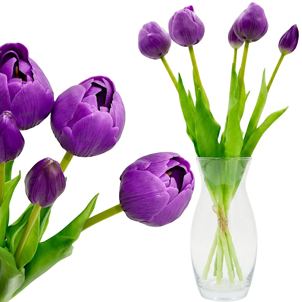 Saska Garden 50 cm violetiniai bijūniniai tulpės