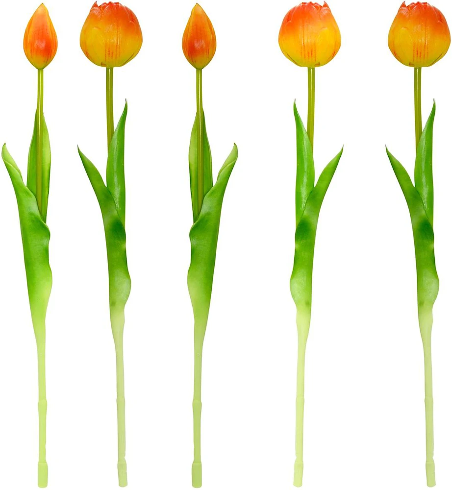 Saska Garden Oranžinių bijūninių tulpių puokštė 39 cm
