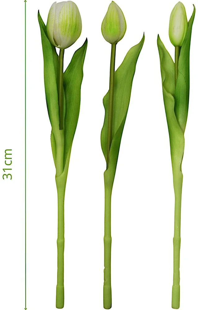 Saska Garden Bukiet baltų tulpių 31 cm