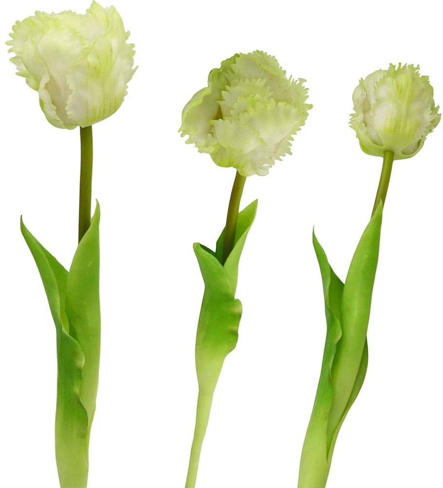 Saska Garden baltas tulpės dekoracija 38 cm