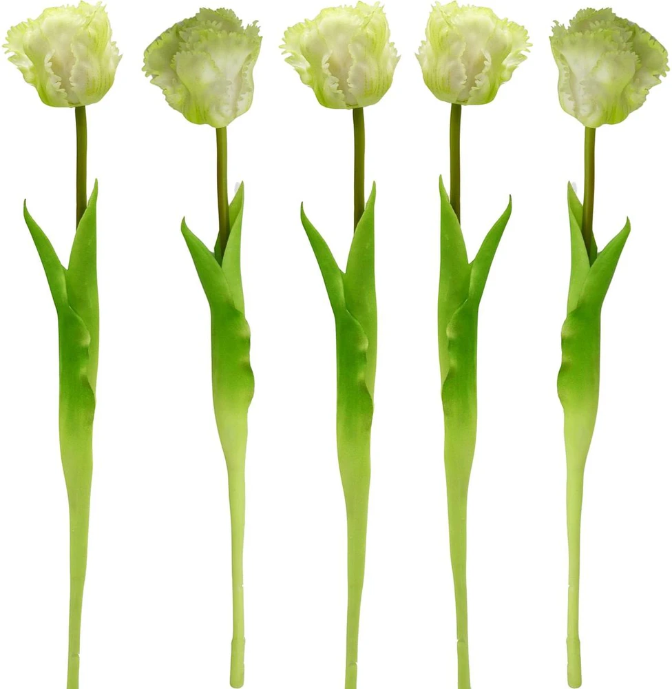 Saska Garden baltas tulpės dekoracija 38 cm