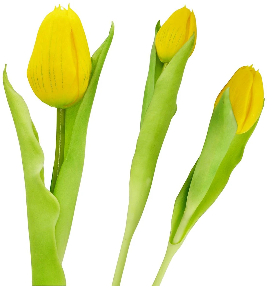 Saska Garden Geltonas tulpė, 31 cm, pavasario dekoracija