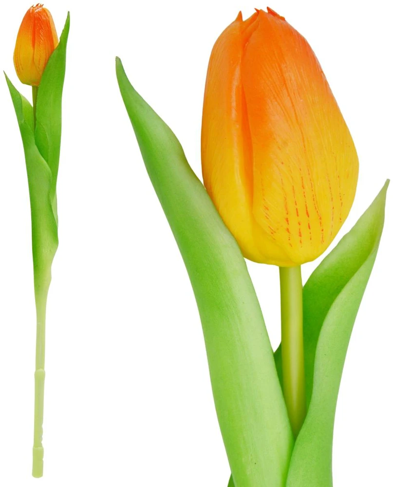 Saska Garden Oranžinis tulpės dekoratyvinis 31 cm
