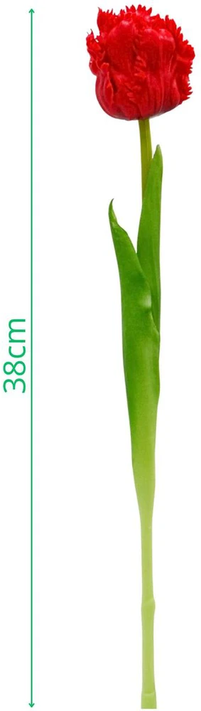 Saska Garden raudonas tulpė 38 cm dekoracija