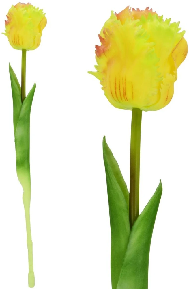 Saska Garden TULIPAN TAMSIAI GELTONAS 38CM KAIP GYVAS PAVASARINĖ DEKORACIJA 1075242