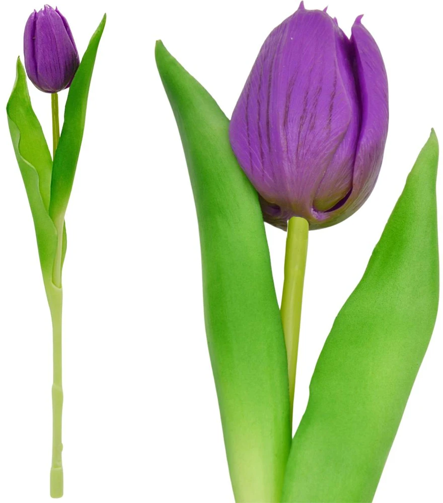 Saska Garden Violetinis tulpė 31 cm pavasario dekoracija