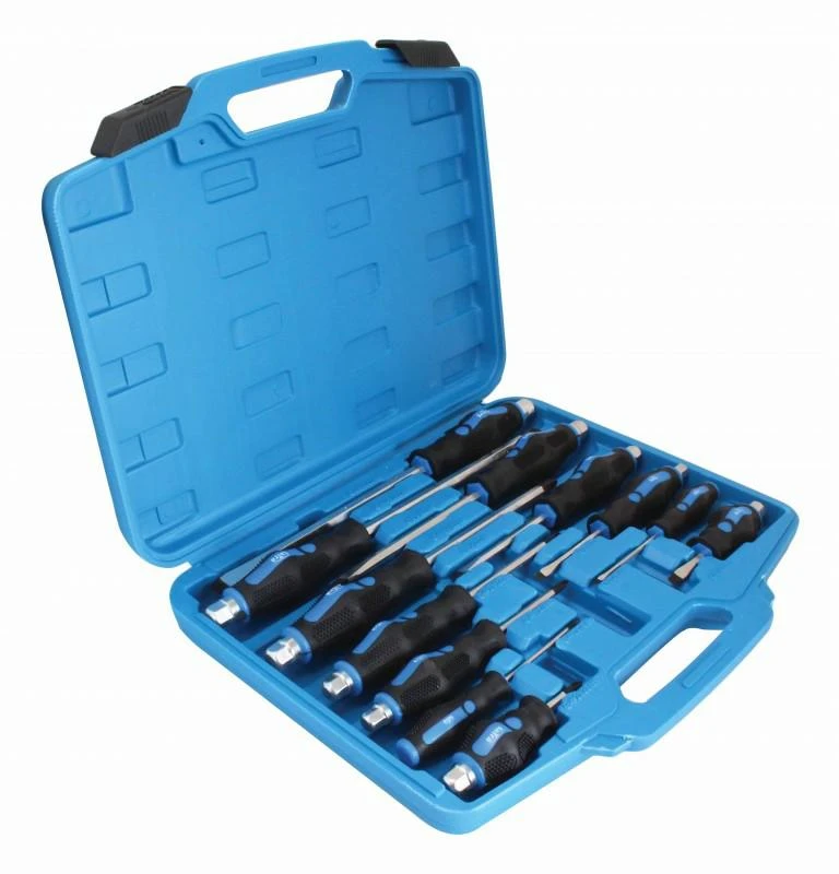 SATRA 12 vnt Go-Thru atsuktuvų rinkinys magnetinio galo plokščia galvute ir „Philips Heavy Duty S-S12PC“