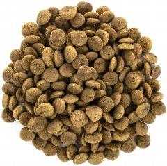 Brit Care Cat Large cats Power&Vitality sausas maistas katėms 2kg