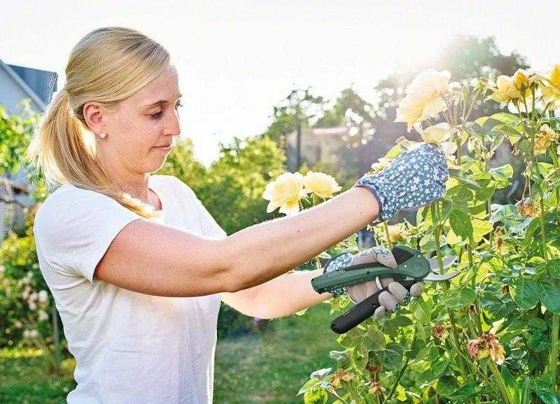 Akumuliatorinis sekatorius Bosch Easy Prune 06008B2102