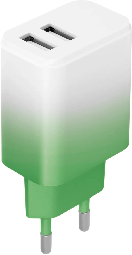 Setty įkroviklis 2x USB 18W LSIG-AA-20 mėtų ir baltos spalvos gradientas