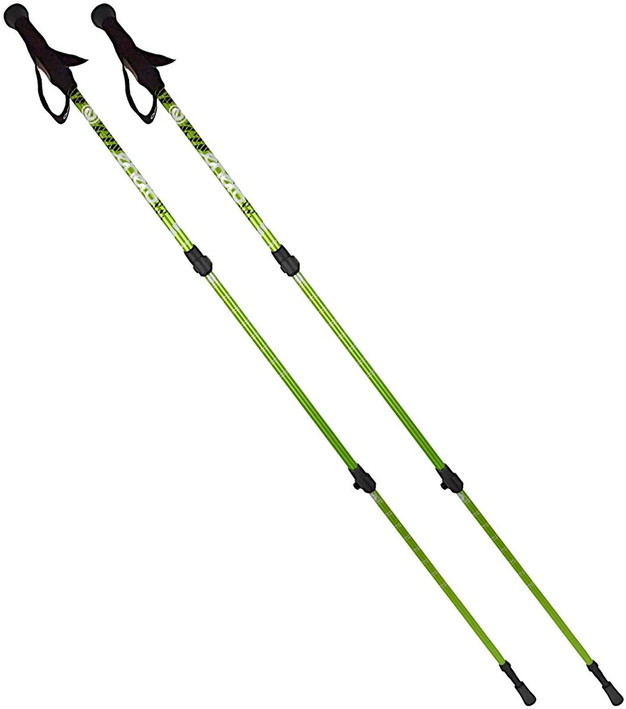 Nordic walking lazdos su dėklu enero