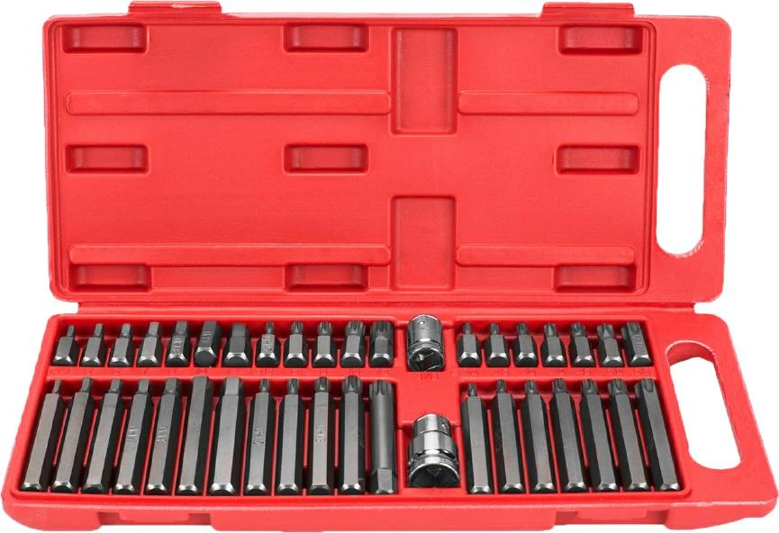 SILVER Sidabrinis Sidabrinis TORX antgalių rinkinys, 40 vnt.