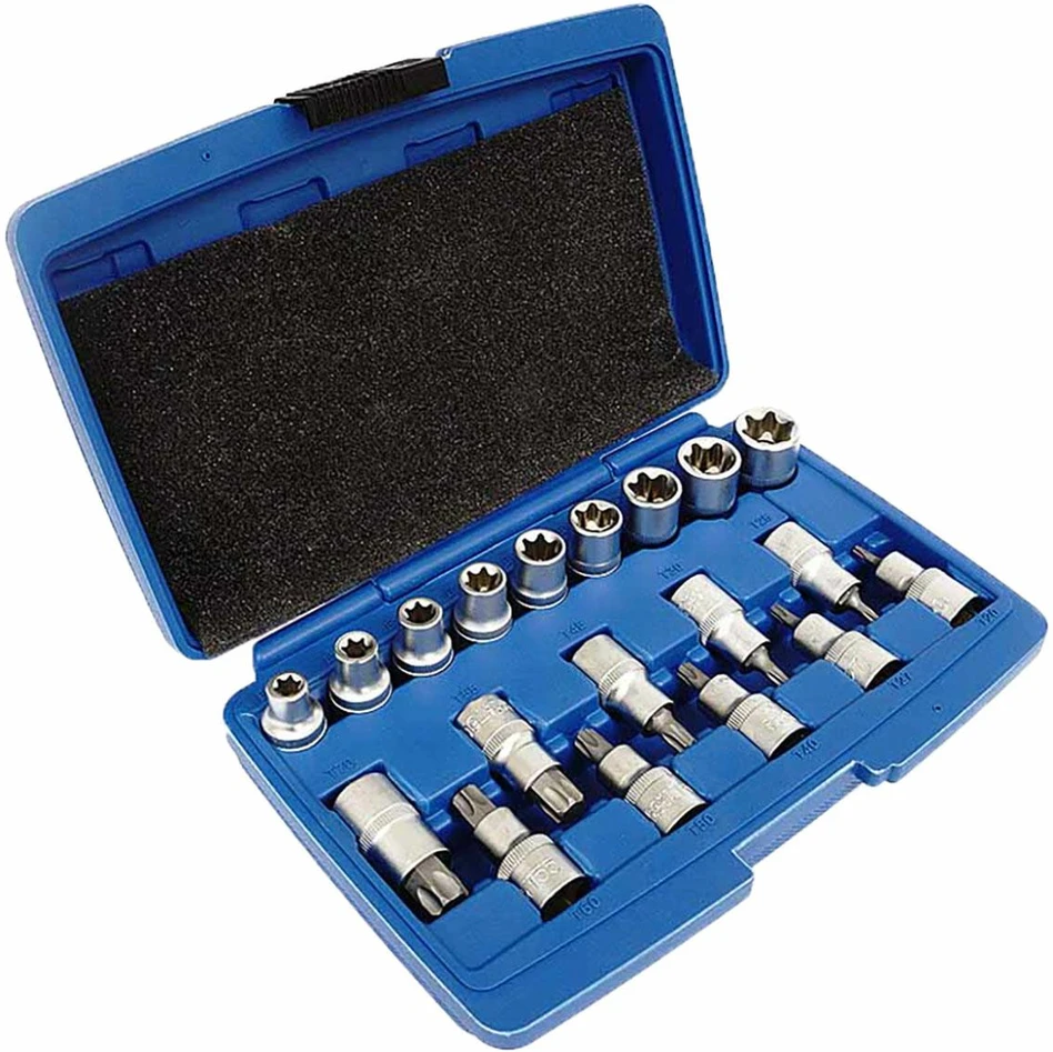 SILVER Sidabrinis Sidabrinis TORX antgalių rinkinys 19 vnt.