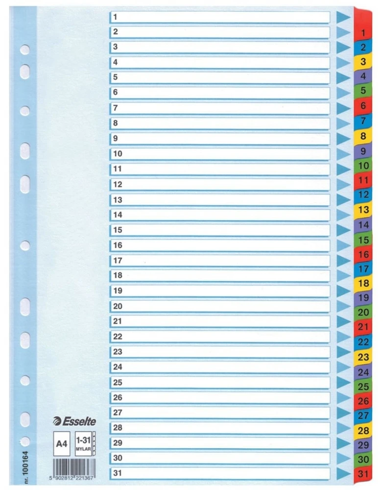 Kartoniniai spalvoti skiriamieji lapai ESSELTE, 1-31, A4
