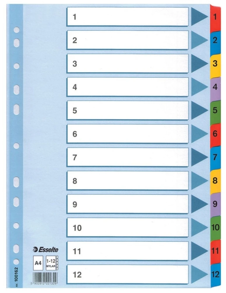 Kartoniniai spalvoti skiriamieji lapai ESSELTE, 1-12, A4