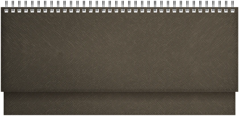 Stalinis kalendorius Timer Memo, 290x105mm, PU viršelis, bronzinės spalvos