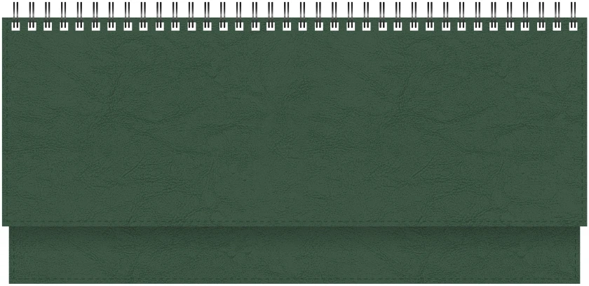 Stalinis kalendorius Timer Memo, 290x105mm, PU viršelis, tamsiai žalios spalvos