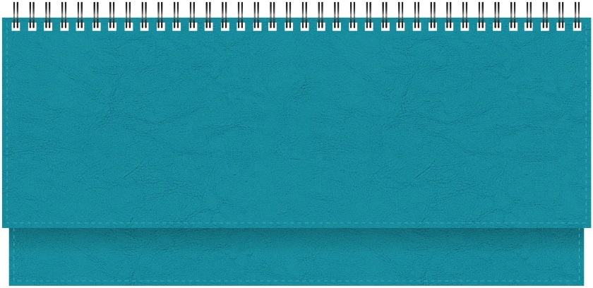 Stalinis kalendorius Timer Memo, 290x105mm, PU viršelis, turkio spalvos