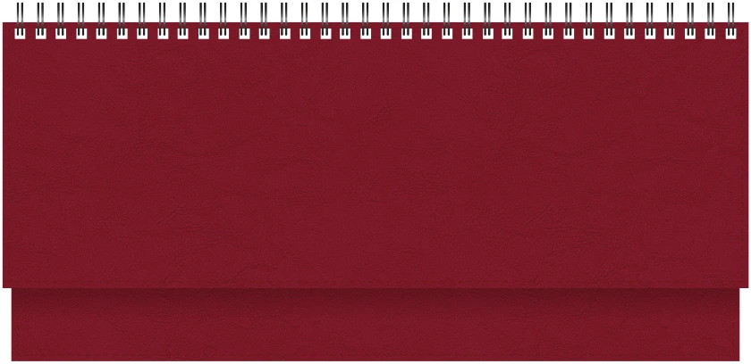 Stalinis kalendorius Timer Memo, 290x105mm, PU viršelis, vyšninės spalvos