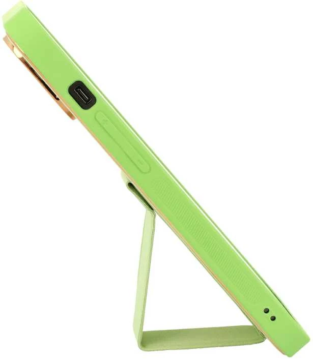 Tel Protect Leather Luxury Stand dėklas skirtas Apple iPhone 11 Pro mėtų spalvos
