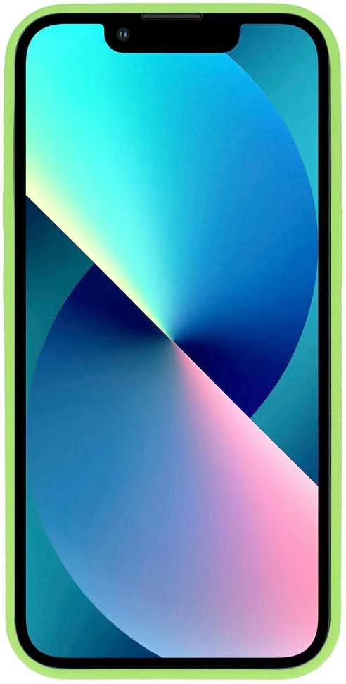 Tel Protect Leather Luxury Stand dėklas skirtas Apple iPhone 11 Pro mėtų spalvos