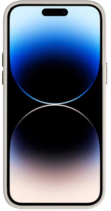 Tel Protect Magnetic Clear dėklas skirtas Apple iPhone 11 Titanium