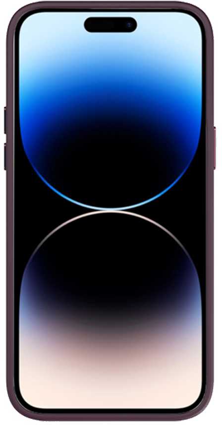 Tel Protect Magnetic Clear dėklas skirtas iPhone 11 Pro vyšnių spalvos