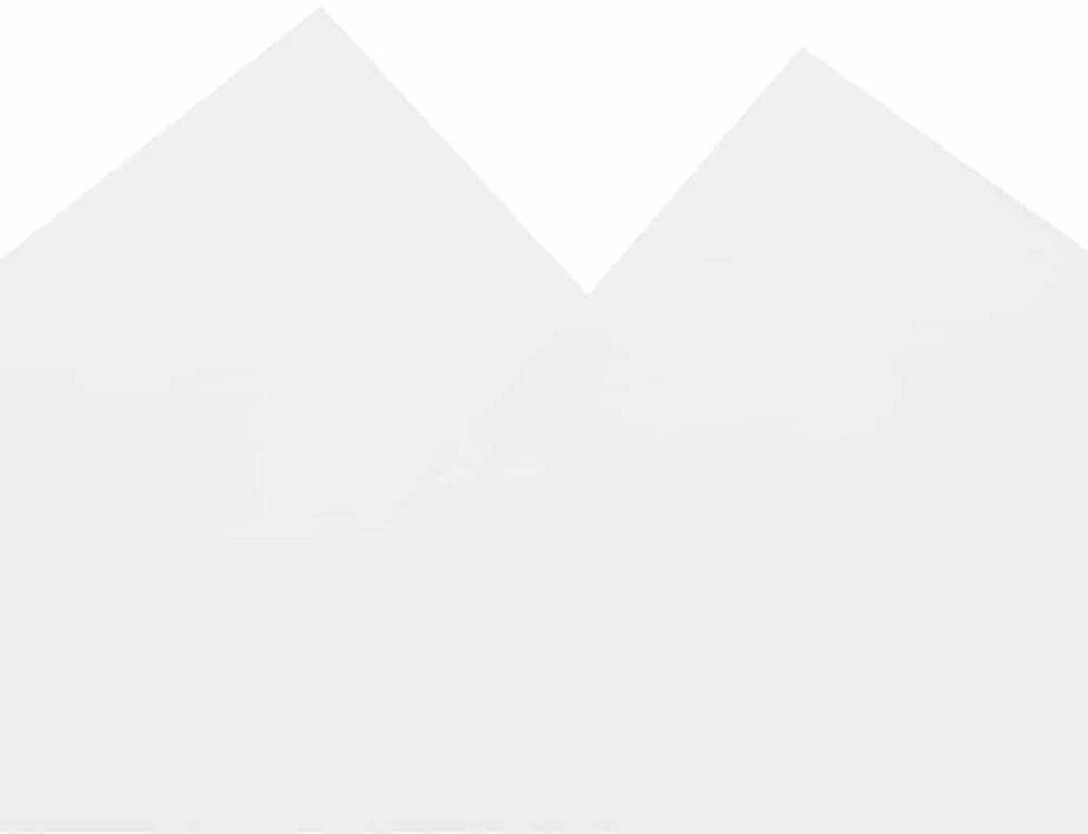 Tentas, baltos spalvos, 1x2,5m, 650g/m²