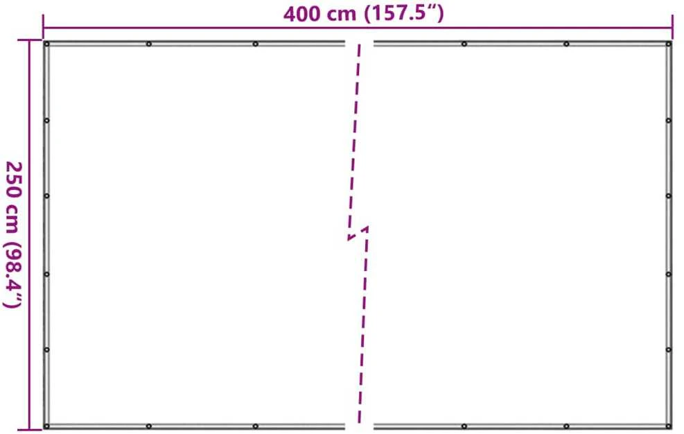 Tinklas priekabai, juodos spalvos, 2,5x4 m, HDPE