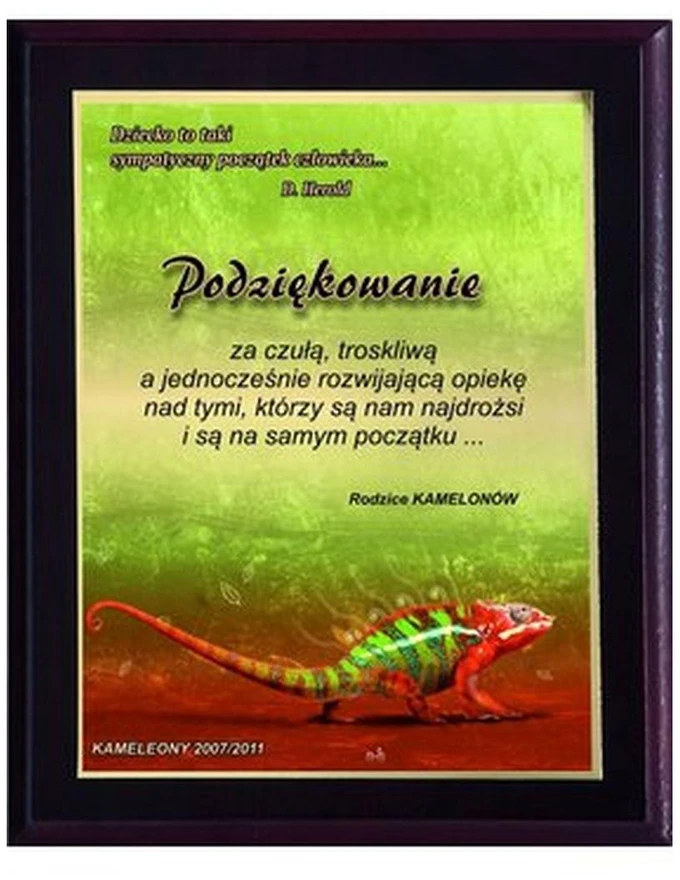 Tryumf Plastikinis diplomas su „colour touch“ laminatu HG2551/G