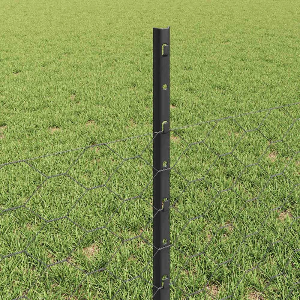 Hexagonal Fence with Post 10 x 0,5 m PVC dengtas plienas Pilka