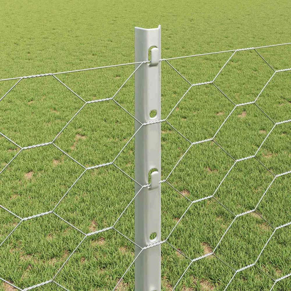 Hexagonal Fence with Post 25 x 1,2 m Galvanizuotas plienas
