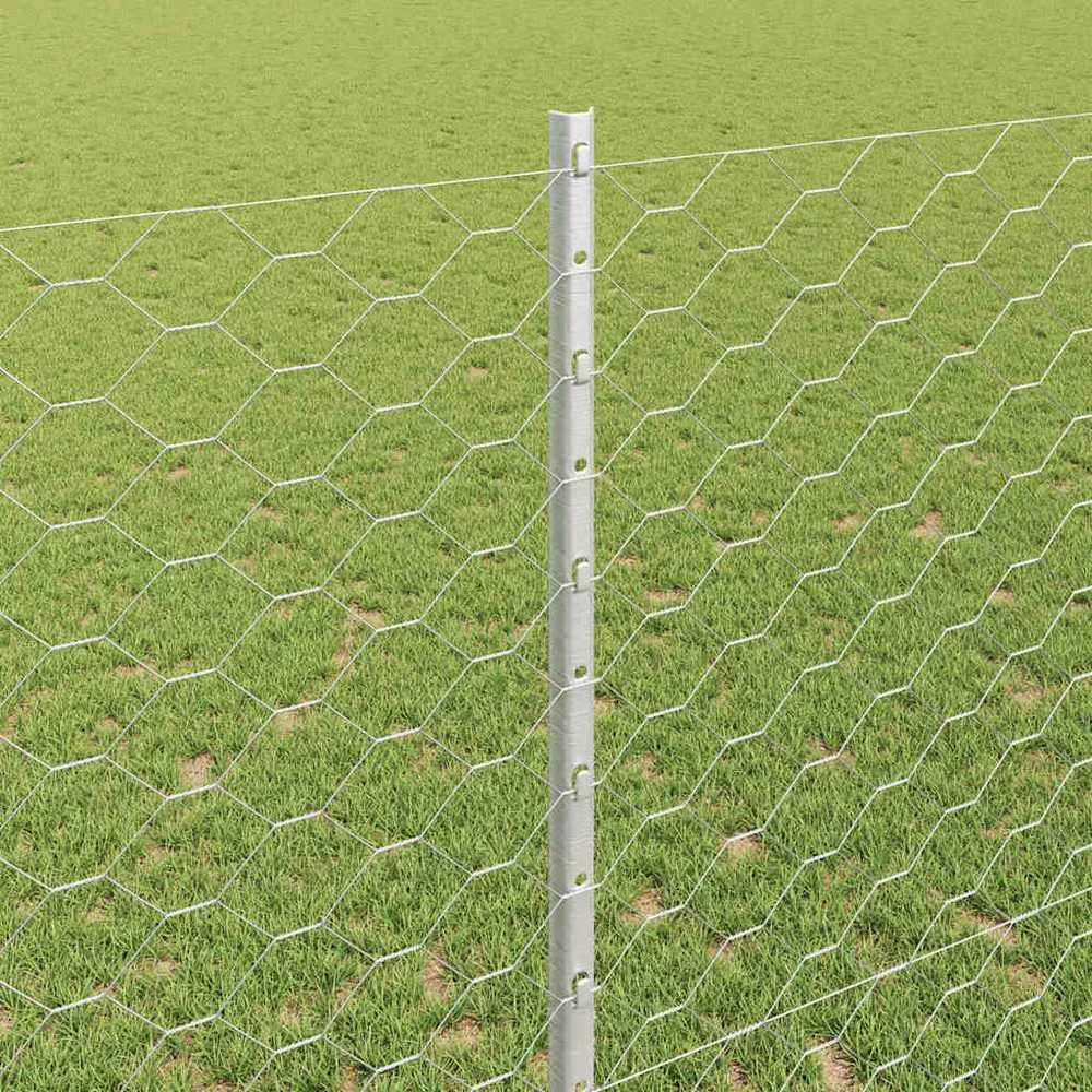 Hexagonal Fence with Post 10 x 1,4 m Galvanizuotas plienas