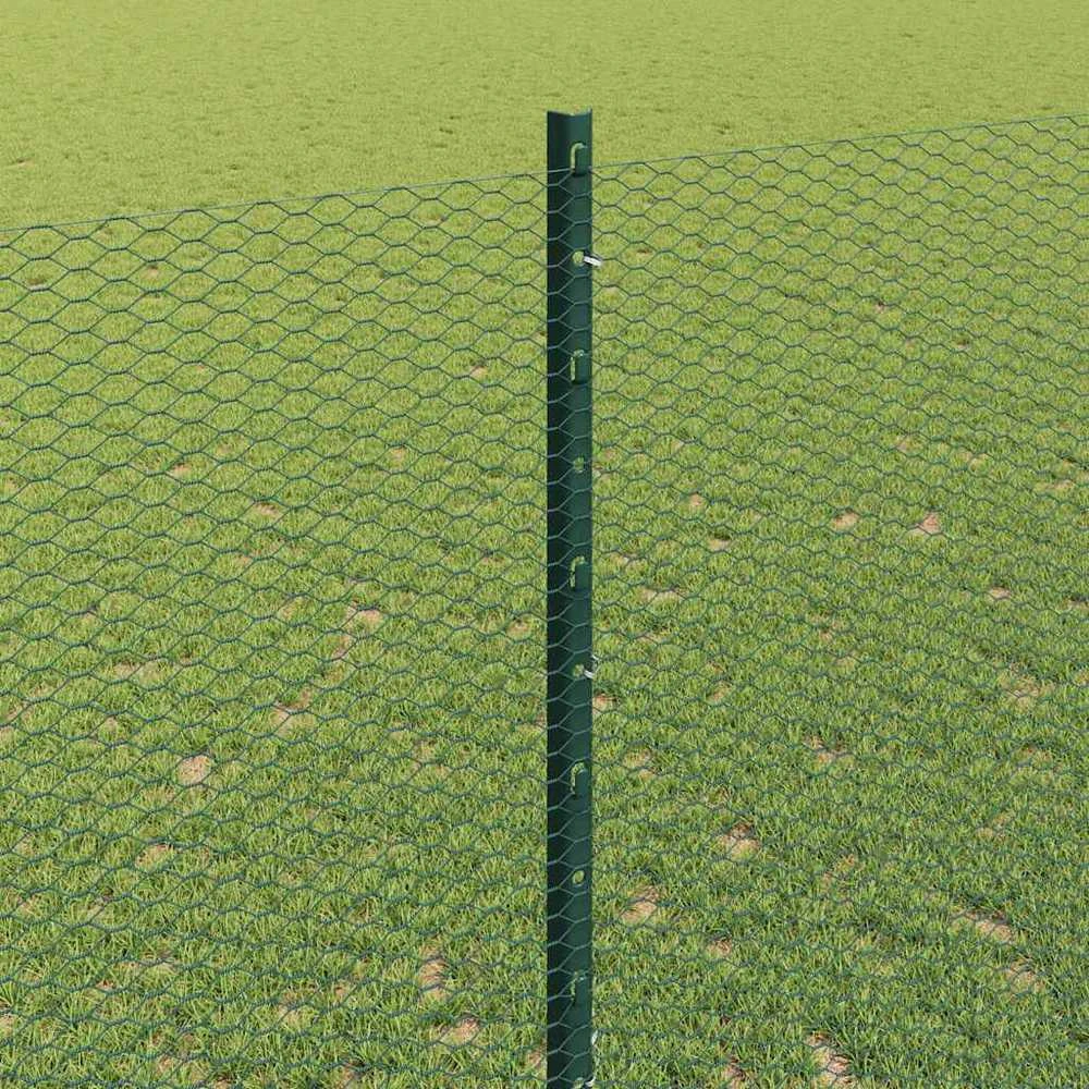 Hexagonal Fence with Post 10 x 1,4 m PVC dengtas plienas Žalia