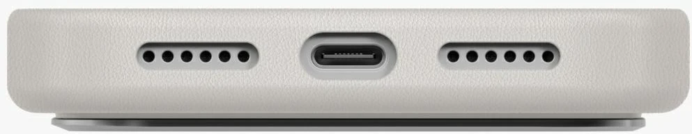UNIQ Lyden Dėklas skirtas iPhone 17 Pro Max Magclick Charging clay
